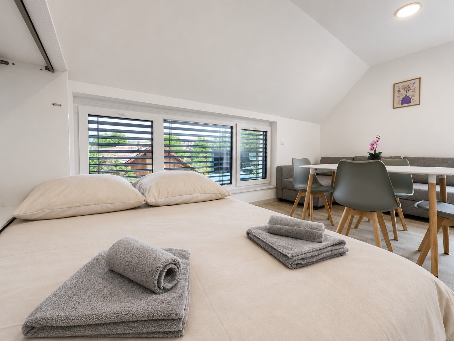 1 Double Bed + 1 Fold-Down Double Bed + 1 Sofa Bed + 1 Single Bed
